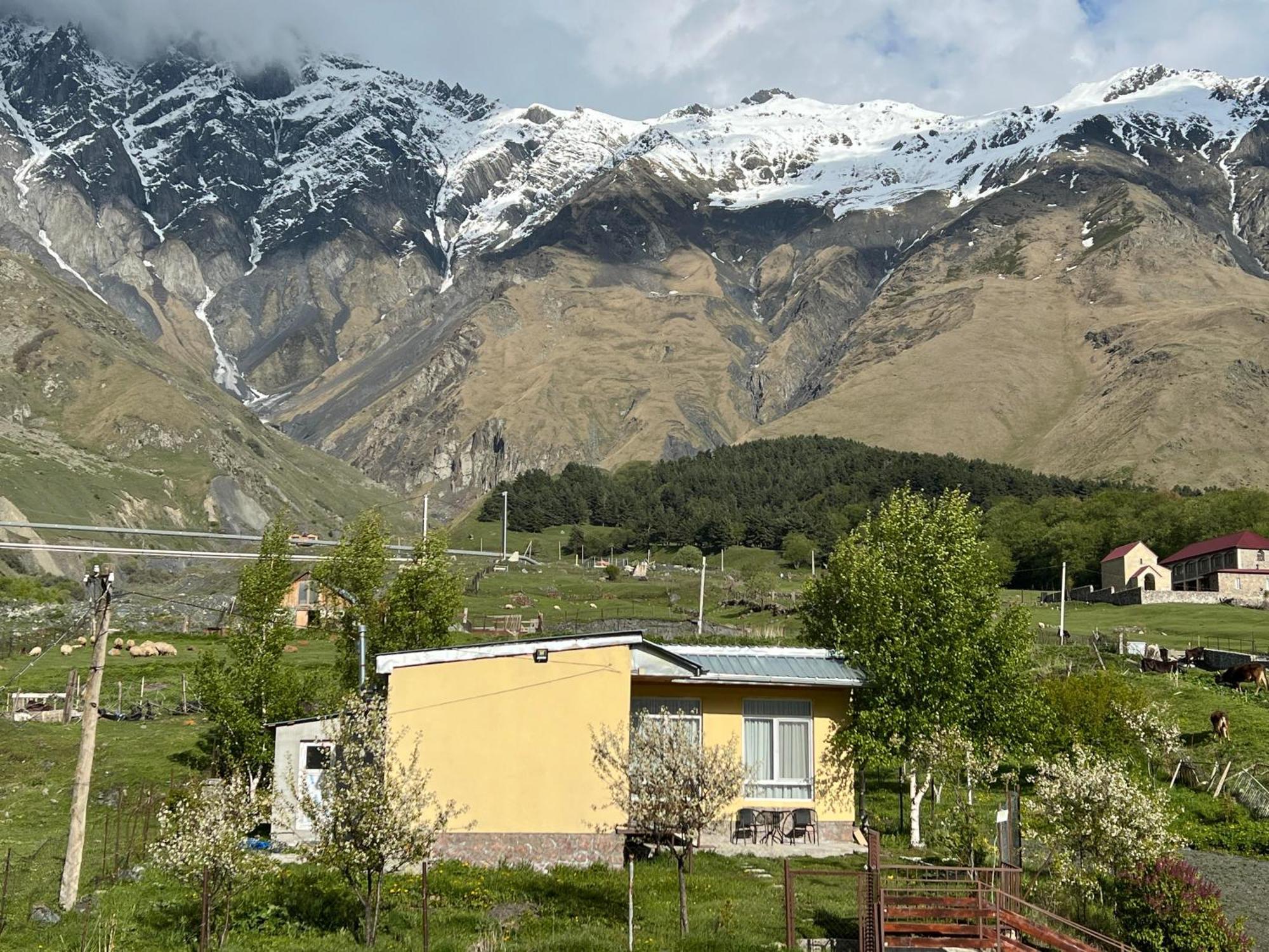 Mountain Kazbegi Apartment Экстерьер фото